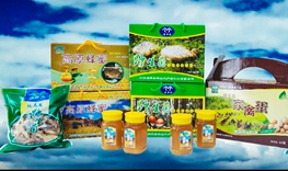 008PG国际(中国区)-官方网站